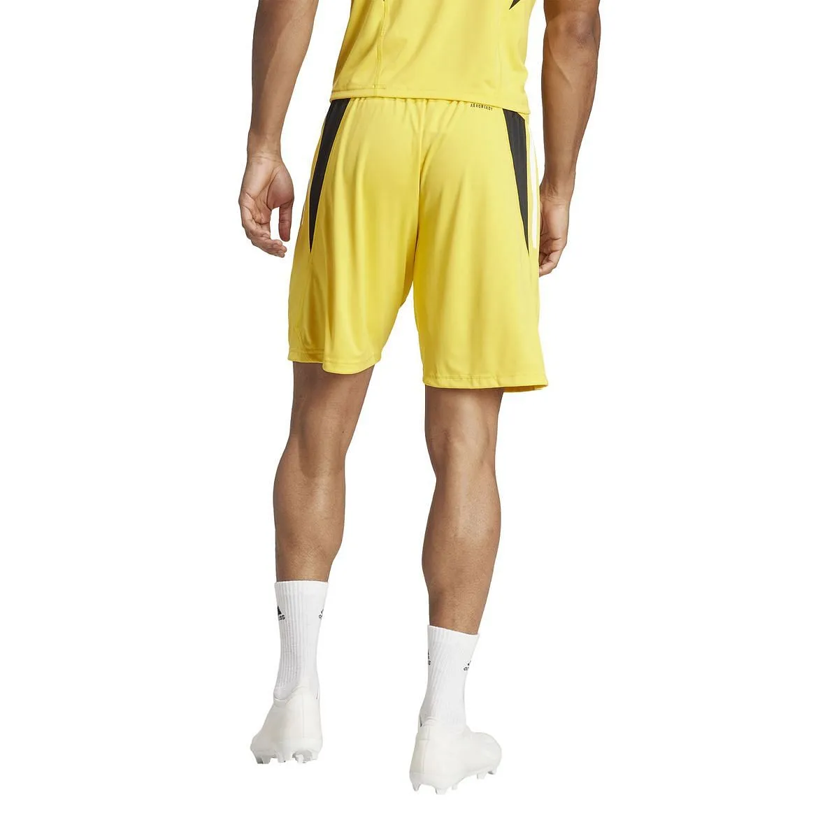      ADIDAS SHORT TRAINING JUVENTUS 23/24  