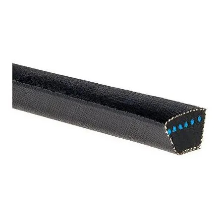 Cinghia di trasmissione Gates serie Hi-Power, sezione C, 6000mm x 22mm x 14mm