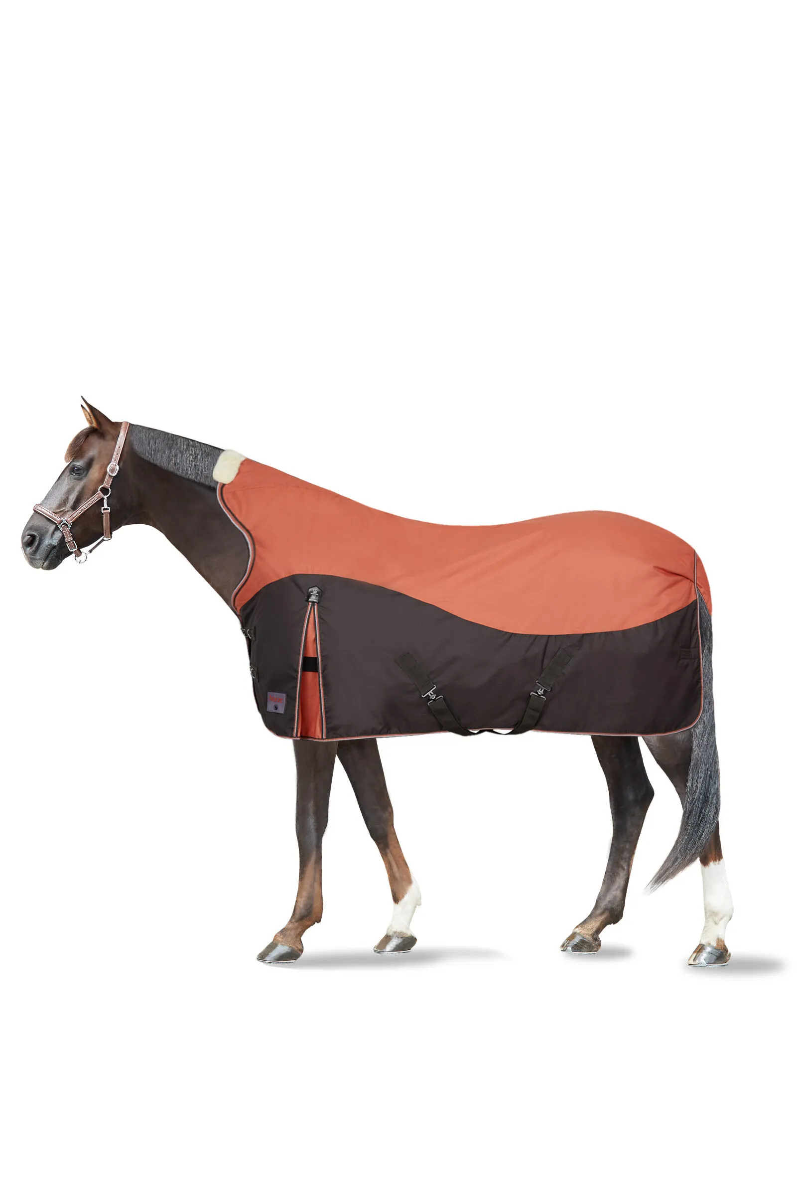 Coperta Turnout Horze Lucerne con collo alto, 250g