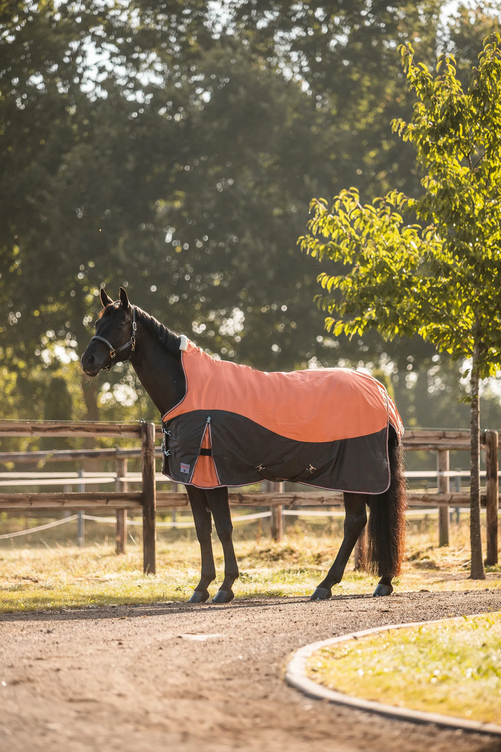 Coperta Turnout Horze Lucerne con collo alto, 250g