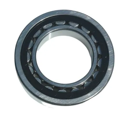 Cuscinetto a rullo RS PRO, Ø int. 60mm, Ø est. 110mm, guida larga 22mm