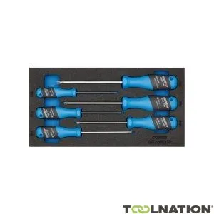 Gedore 2309165 1500 CT1-2163 Set di cacciaviti TXB 3-C in modulo CT 6-Piece