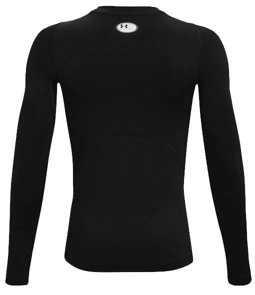 Magliette a maniche lunghe Under UA HG Armour LS